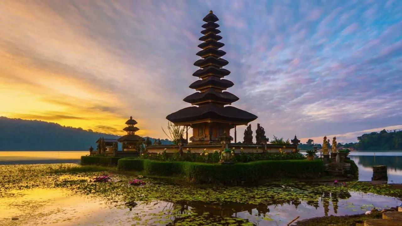 Bimbel-Di-Bali-Untuk-Masuk-Perguruan-Tinggi Bimbel Di Bali Untuk Masuk Perguruan Tinggi
