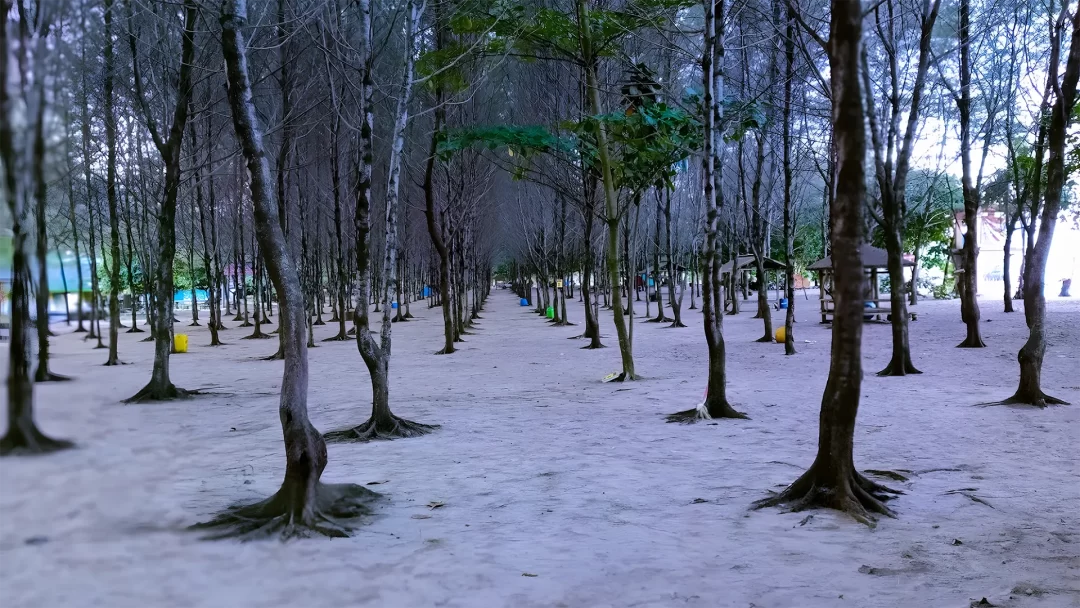 Pantai Ngudel Malang