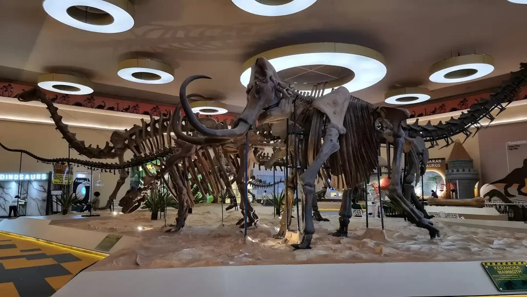 Jatim Park 3 - Jatim park 3 - JP 3