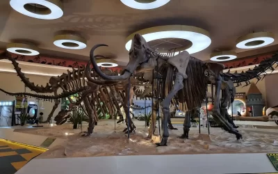 Jatim Park 3: Bertualangan ke Zaman Dinosaurus